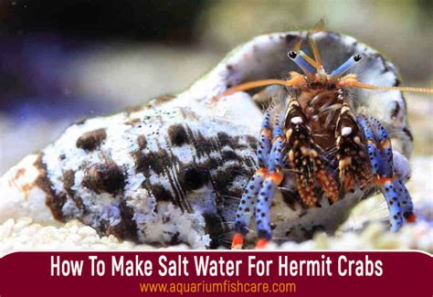 how do you make saltwater for hermit crabs